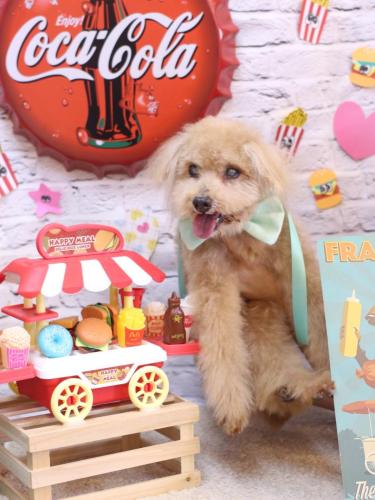 20230917モカくん